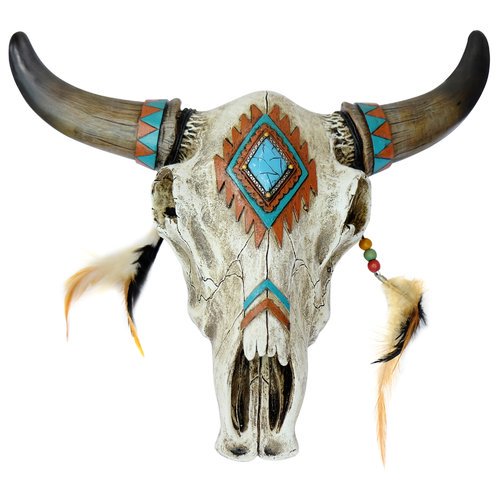 SKULL SOUTHWEST