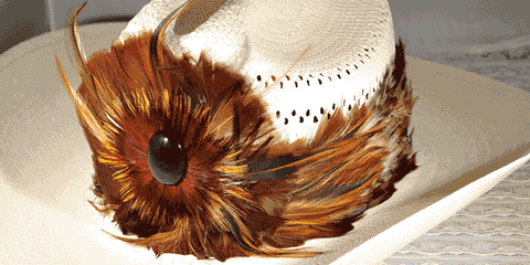 Hb Feather Brn With Crown & Stone Hat Band