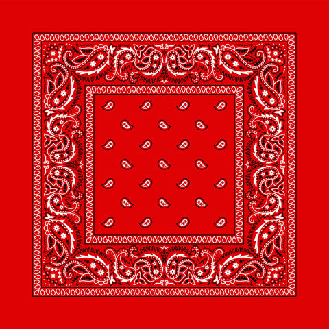 28x28 PAISLEY BANDANA