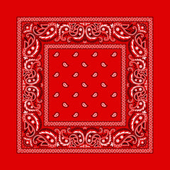28x28 PAISLEY BANDANA